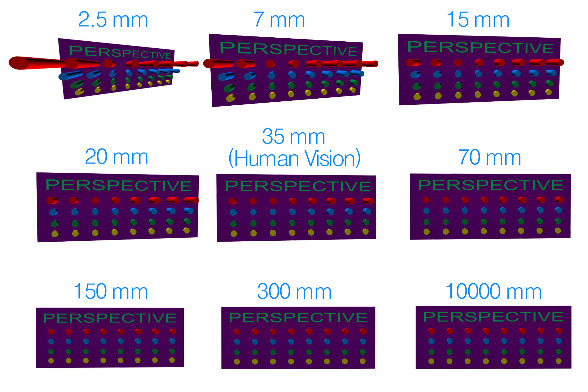 lenses.jpg