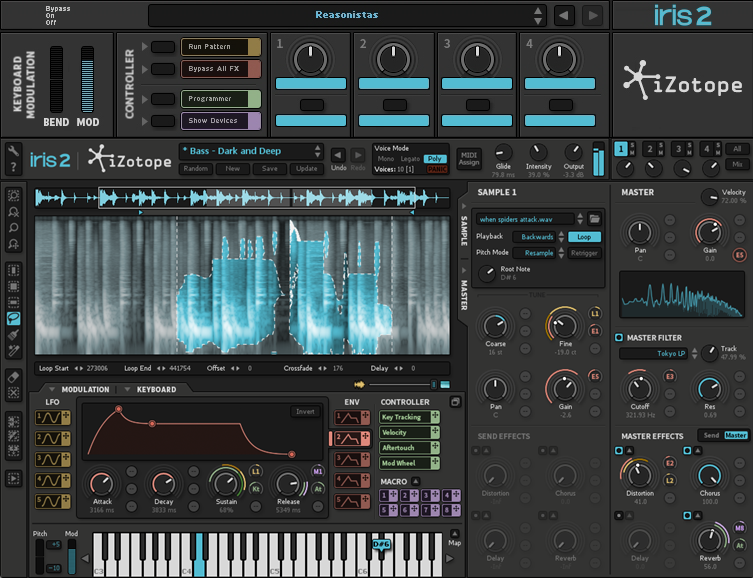 Reasonistas iZotope-Iris-2-combi skin.png