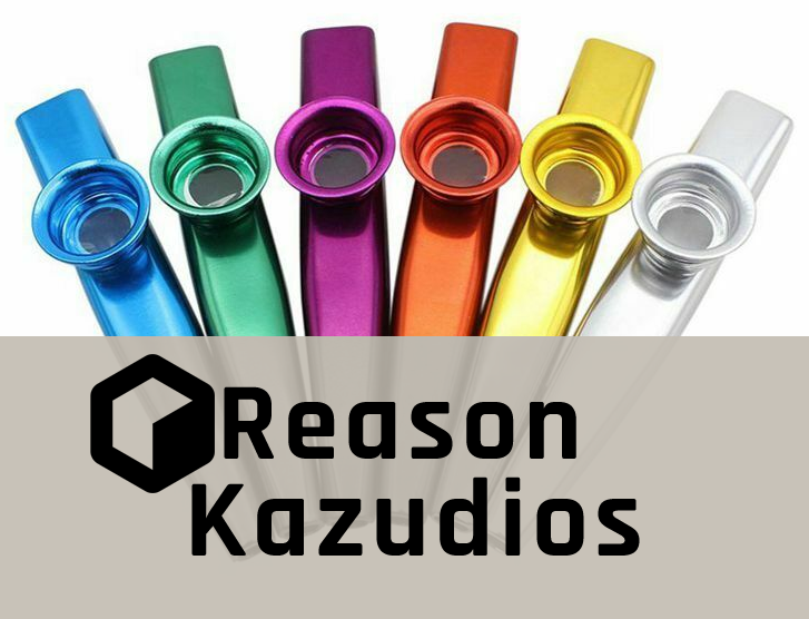 reason_kazudios_logo_1.png