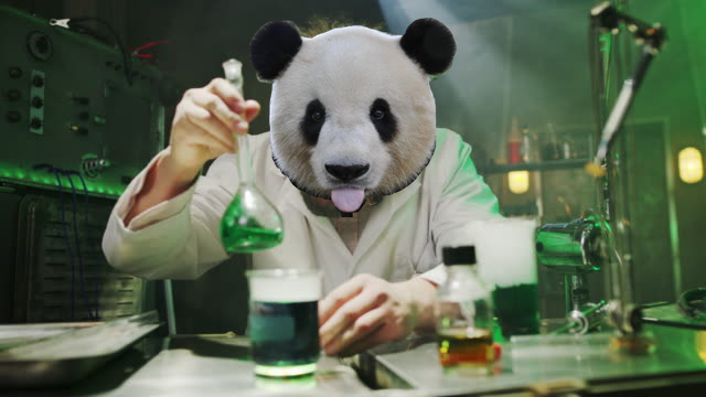 Panda_Lab.png