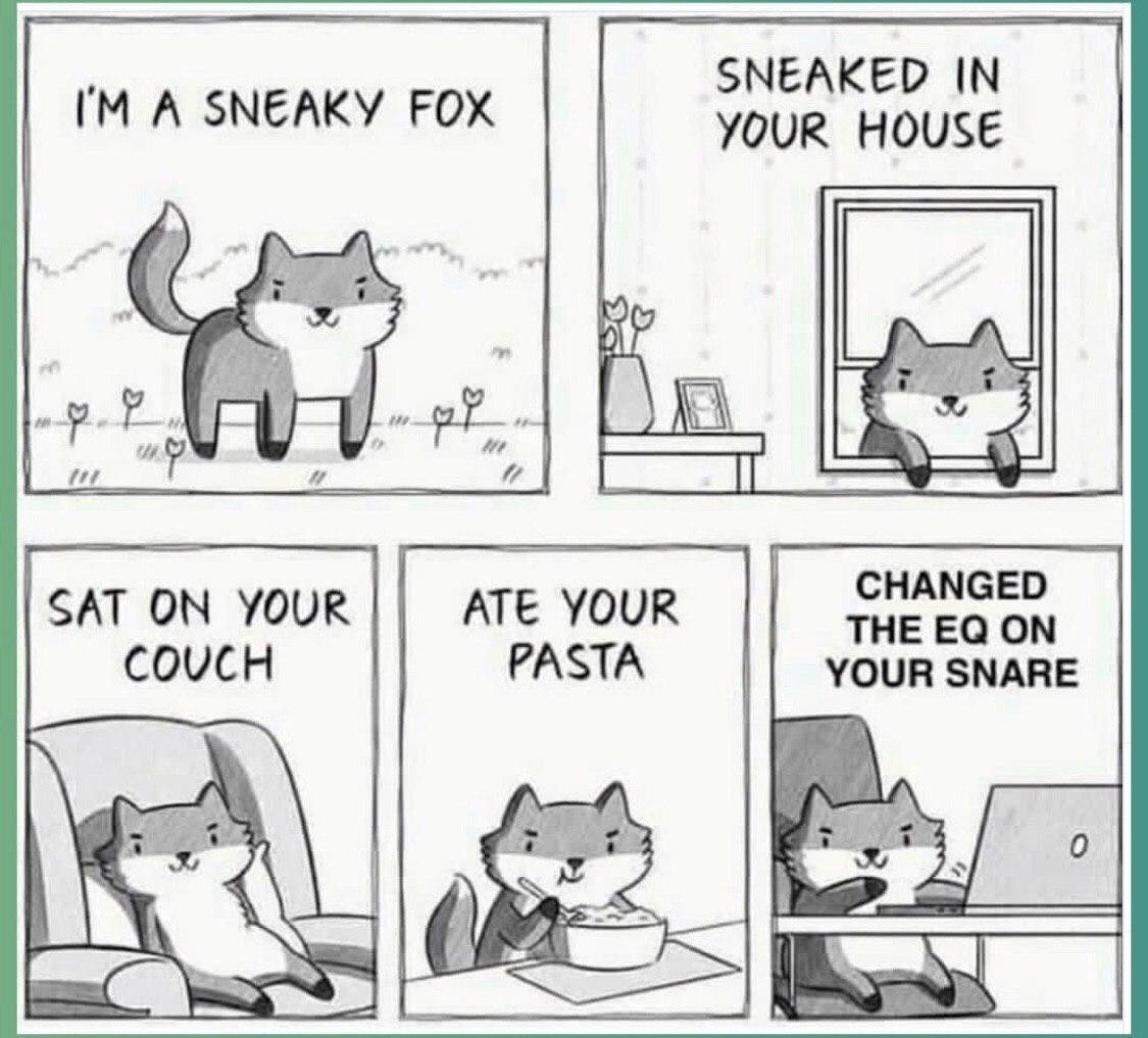 sneaky fox.jpg