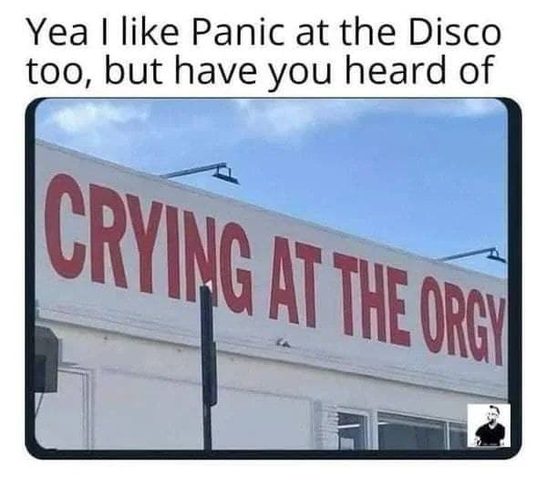 panicatthedisco.jpg